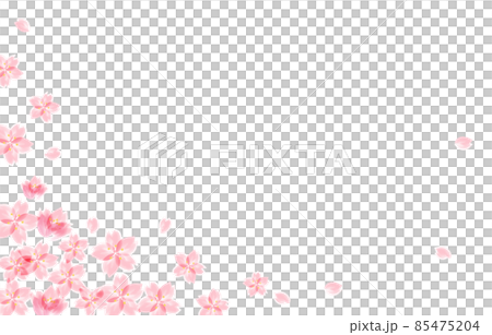 桜の背景イラスト 85475204