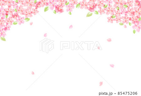 葉桜の背景イラスト 85475206