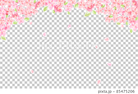 葉桜の背景イラスト 85475206