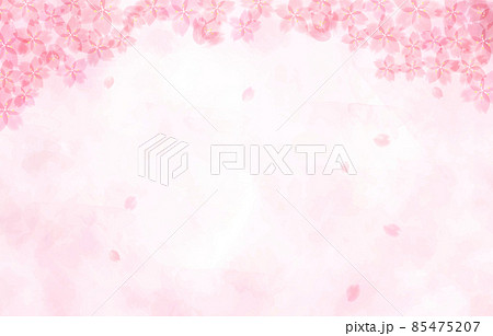 桜の背景イラスト 桜の背景イラスト 85475207