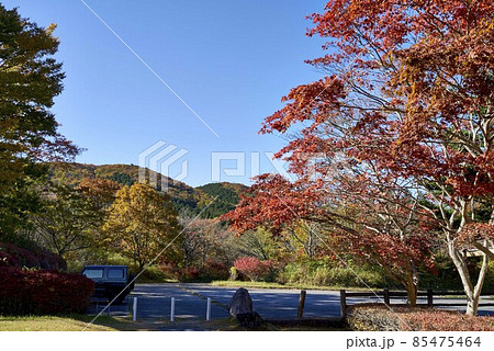 植樹祭記念緑地公園　駐車場 85475464