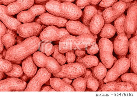 Dry roasted peanuts. Dry roasted peanuts. 85476365