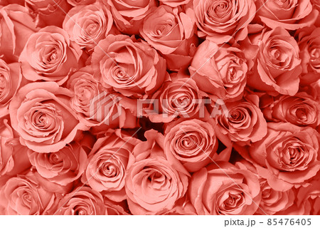 Flower bouquet from roses. 85476405