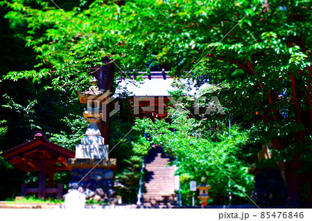 鎌倉最古の神社、鎌倉市長谷の甘縄神明宮 鎌倉最古の神社、鎌倉市長谷の甘縄神明宮 85476846