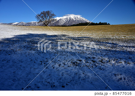 小岩井農場より冠雪の岩手山を望む 85477016