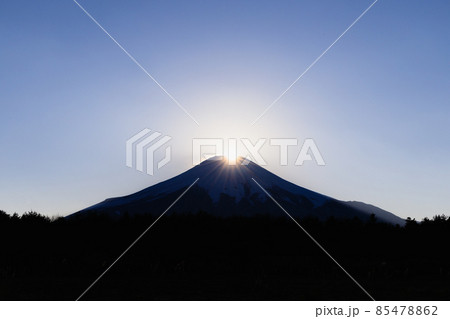 山梨県花の都公園からのダイヤモンド富士 85478862