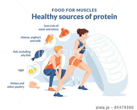 Healthy protein source infographics. Two women on a white background are doing a workout. Growth and healthy eating. Food icons. Typography. Flat vector illustration. 85479360
