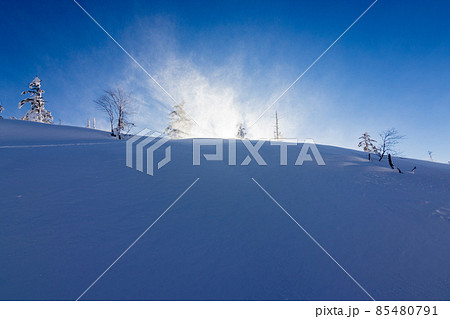 逆光に照らされる雪煙 85480791