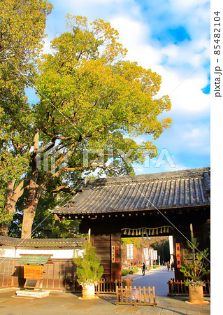 名古屋市、徳川園黒門の風景 名古屋市、徳川園黒門の風景 85482104