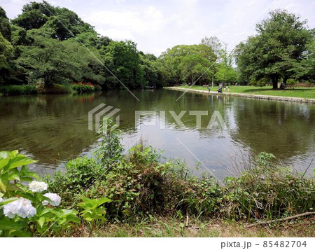 熊本市民の憩いの場 八景水谷公園 熊本市民の憩いの場 八景水谷公園 85482704