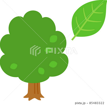 シンプルな木と葉のデフォルメイラスト 85483322