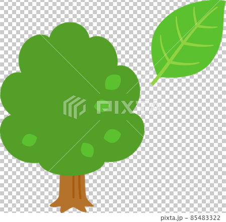 シンプルな木と葉のデフォルメイラスト 85483322