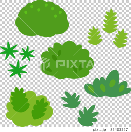 苔のイラストセット 85483327