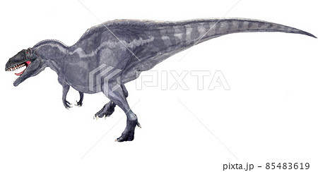 アクロカントサウルス　気温が高かった白亜紀前期の北米大陸において最大の肉食恐竜。 85483619