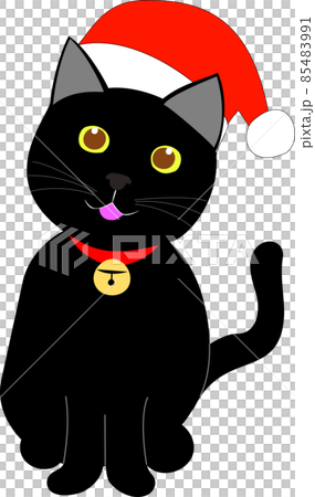 戴著聖誕帽的黑貓 85483991