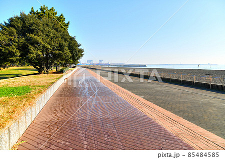 城南島海浜公園／つばさ浜(東京都大田区)【2021.12】 85484585