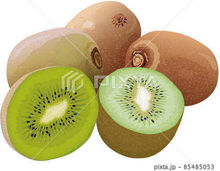 キウイ 85485053
