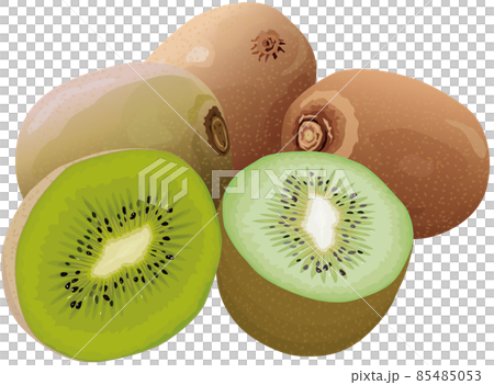 キウイ 85485053