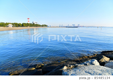城南島海浜公園／つばさ浜 (東京都大田区)【2021.12】 85485134