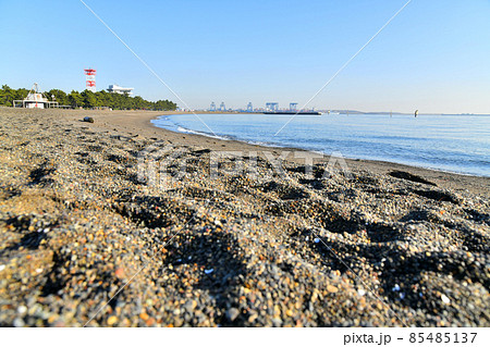 城南島海浜公園／つばさ浜 (東京都大田区)【2021.12】 85485137