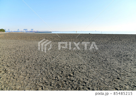 城南島海浜公園/つばさ浜 (東京都大田区)【2021.12】 城南島海浜公園/つばさ浜 (東京都大田区)【2021.12】 85485215