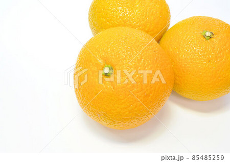 スイートスプリング スイートスプリング 85485259