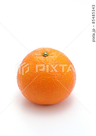 伊予柑 いよかん イヨカン 85485343