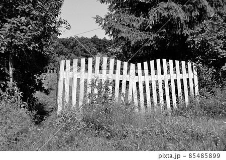 Beautiful old gate from abandoned house in village Beautiful old gate from abandoned house in village 85485899