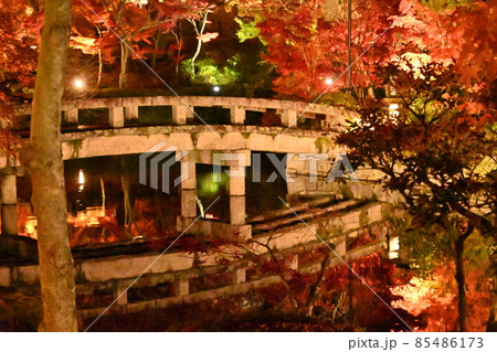 永観堂ライトアップ 85486173