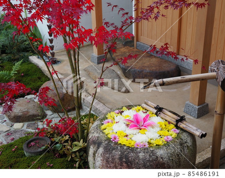 大聖護国寺　枯山水 85486191