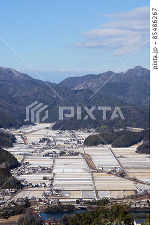丹波篠山　高城山（八上城跡）から田園風景　三嶽　小金ヶ岳　1月 85486267