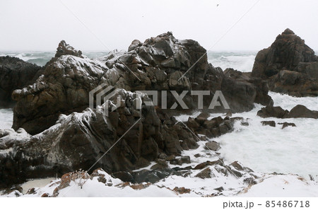 海岸岩礁吹雪の日本海 海岸岩礁吹雪の日本海 85486718