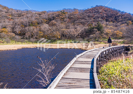 （群馬県）赤城山・覚満淵　紅葉 85487416