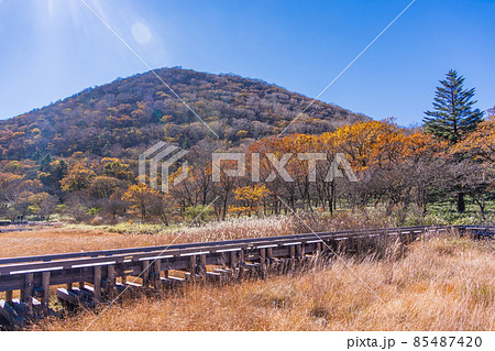 群馬県）赤城山・覚満淵 紅葉の写真素材 [85487420] - PIXTA