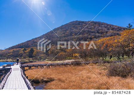 （群馬県）赤城山・覚満淵　紅葉 85487428