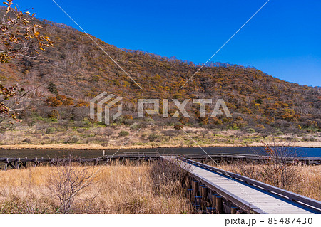 (群馬県)赤城山・覚満淵 紅葉 (群馬県)赤城山・覚満淵 紅葉 85487430