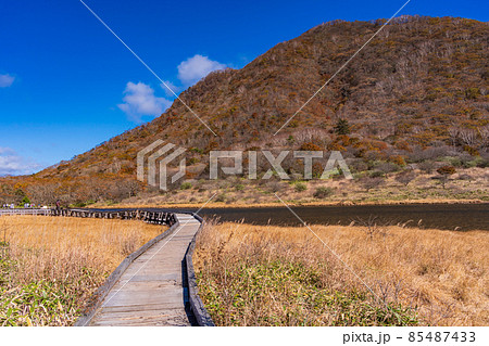 (群馬県)赤城山・覚満淵 紅葉 (群馬県)赤城山・覚満淵 紅葉 85487433