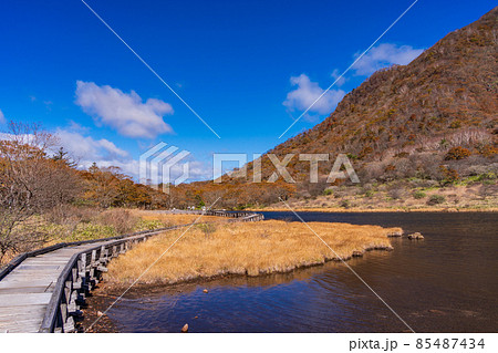 (群馬県)赤城山・覚満淵 紅葉 (群馬県)赤城山・覚満淵 紅葉 85487434
