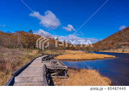 （群馬県）赤城山・覚満淵　紅葉 85487440