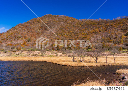 （群馬県）赤城山・覚満淵　紅葉 85487441