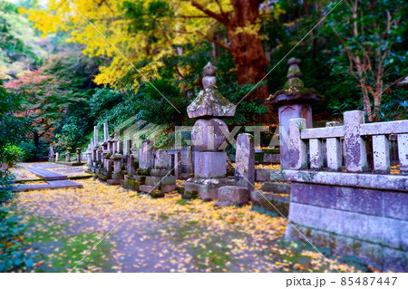 鎌倉の古寺、日蓮宗の本山の妙本寺の境内にたたずむ比企一族の供養塔 85487447