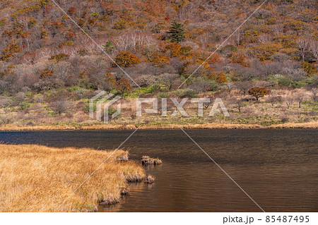 (群馬県)赤城山・覚満淵 紅葉 (群馬県)赤城山・覚満淵 紅葉 85487495
