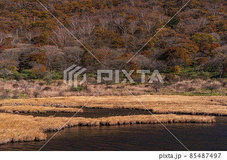 （群馬県）赤城山・覚満淵　紅葉 85487497