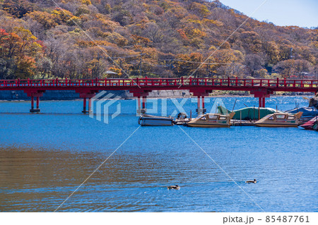 (群馬県)秋の赤城山・赤城神社 老朽化した啄木鳥橋 (群馬県)秋の赤城山・赤城神社 老朽化した啄木鳥橋 85487761