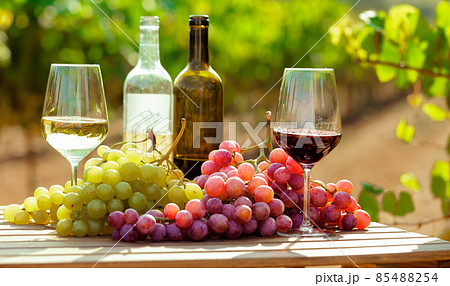 still life with glasses of red and white wine and grapes in field of vineyard still life with glasses of red and white wine and grapes in field of vineyard 85488254