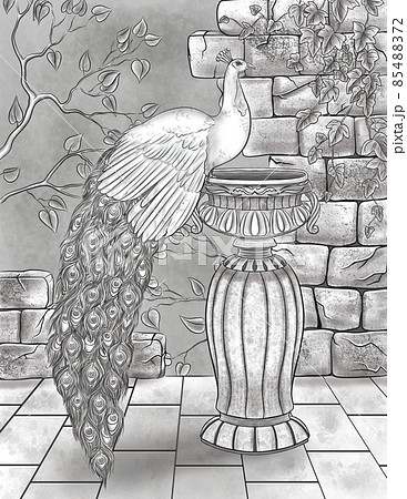 peacock drawing sketch