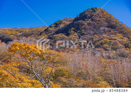 （群馬県）赤城山・大沼　湖畔の紅葉 85488384