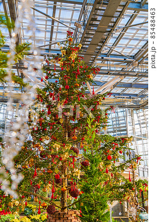 冬のデンパーク、クリスマスディスプレイ〈愛知県安城市〉 冬のデンパーク、クリスマスディスプレイ〈愛知県安城市〉 85488463