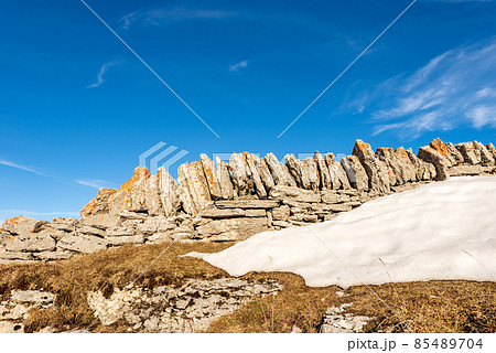 Fence made of Stone Wall for Grazing and Agriculture - Lessinia Plateau Italy 85489704