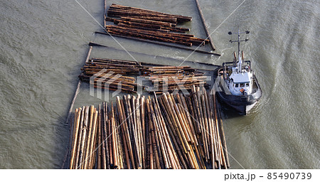 Logs pulled by a tugboat on Fraser River. 85490739